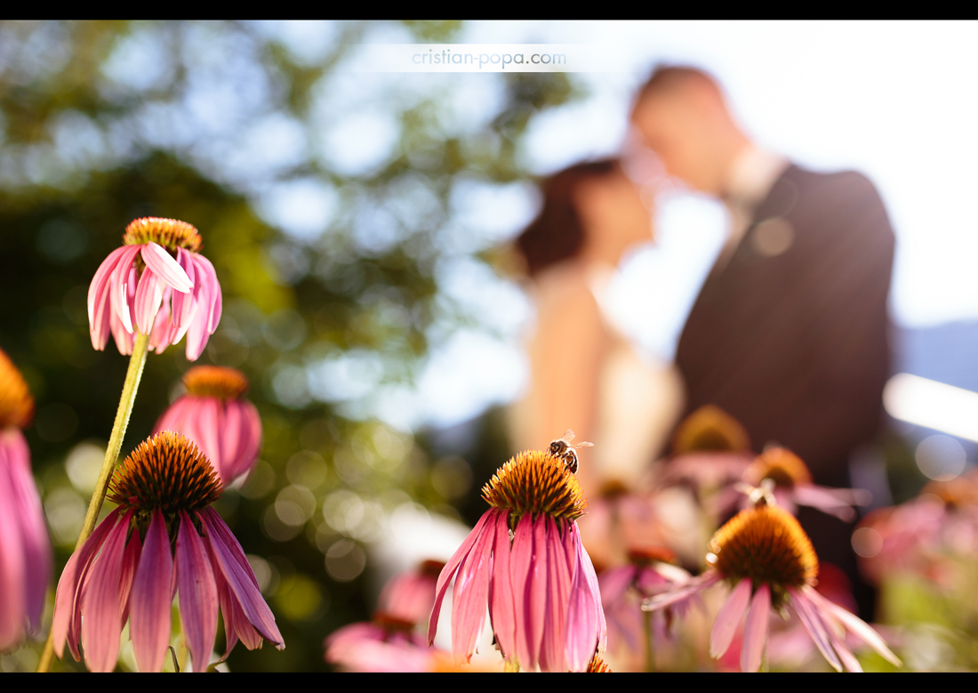 Best of 2015 (144)