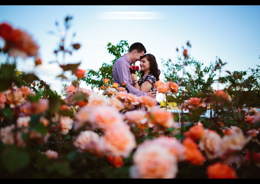 Best of 2015 (214)